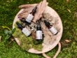medicine-bottles-on-green-and-brown-moss-3259600